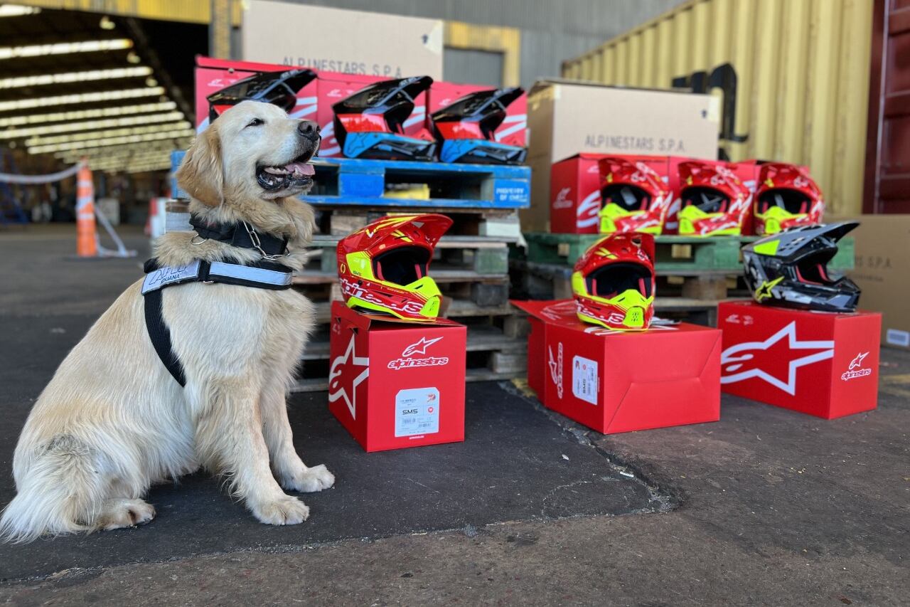 Se ordenaron allanamientos y el secuestro de 1.644 cascos.