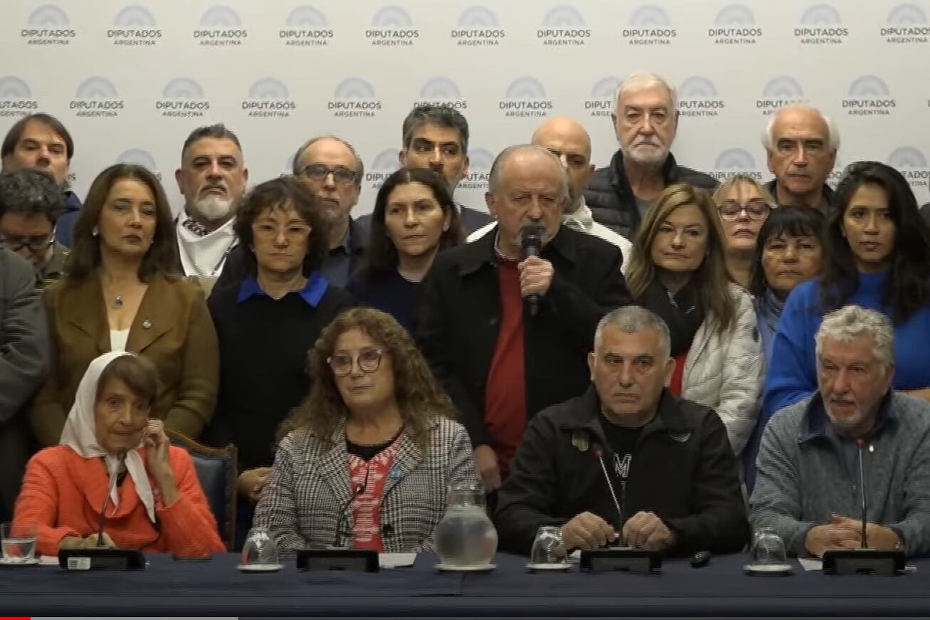Conferencia de prensa en el Congreso de la Nación. Imagen: captura de pantalla.