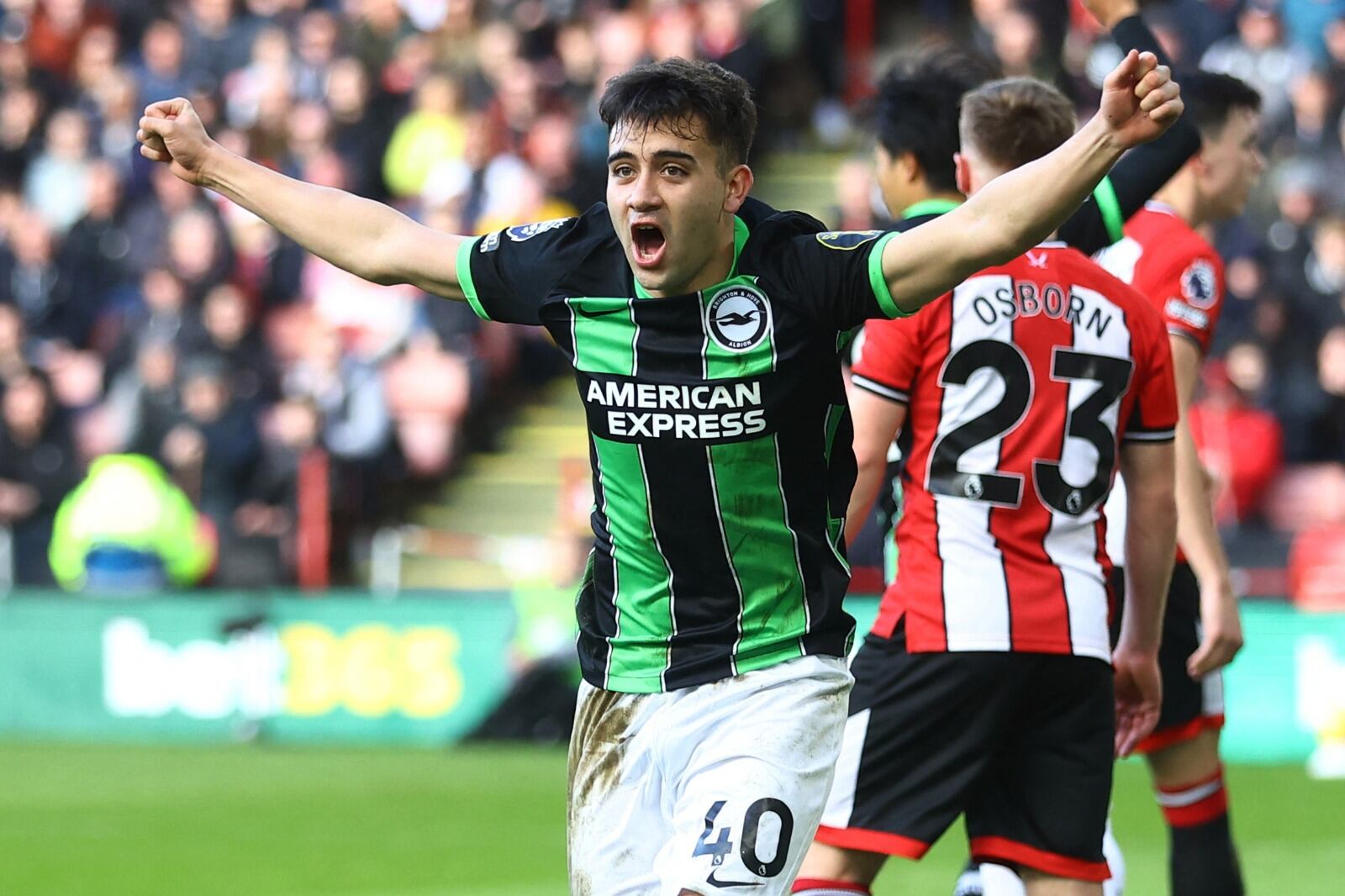 Buonanotte celebra una de sus tantos en el Brighton