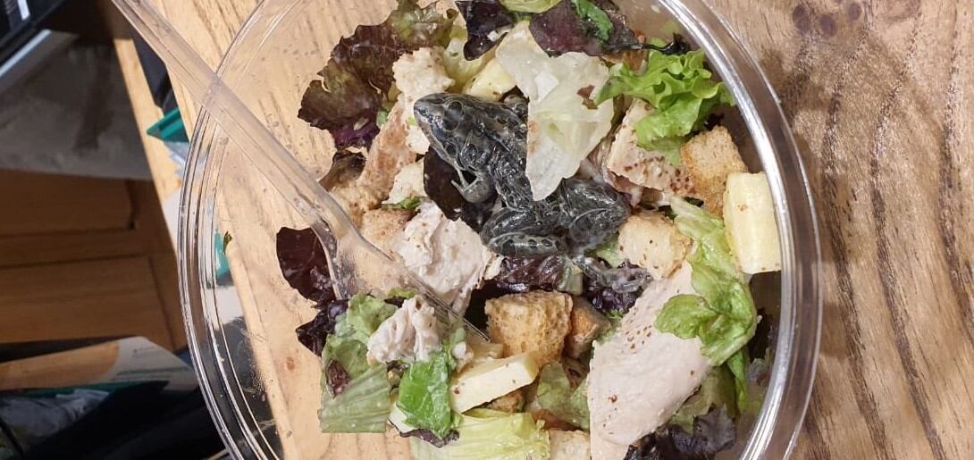 Una rana en la ensalada.