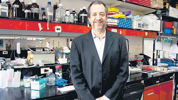 Fernando Pitossi está a cargo del Laboratorio de Terapias Regenerativas del Instituto Leloir.