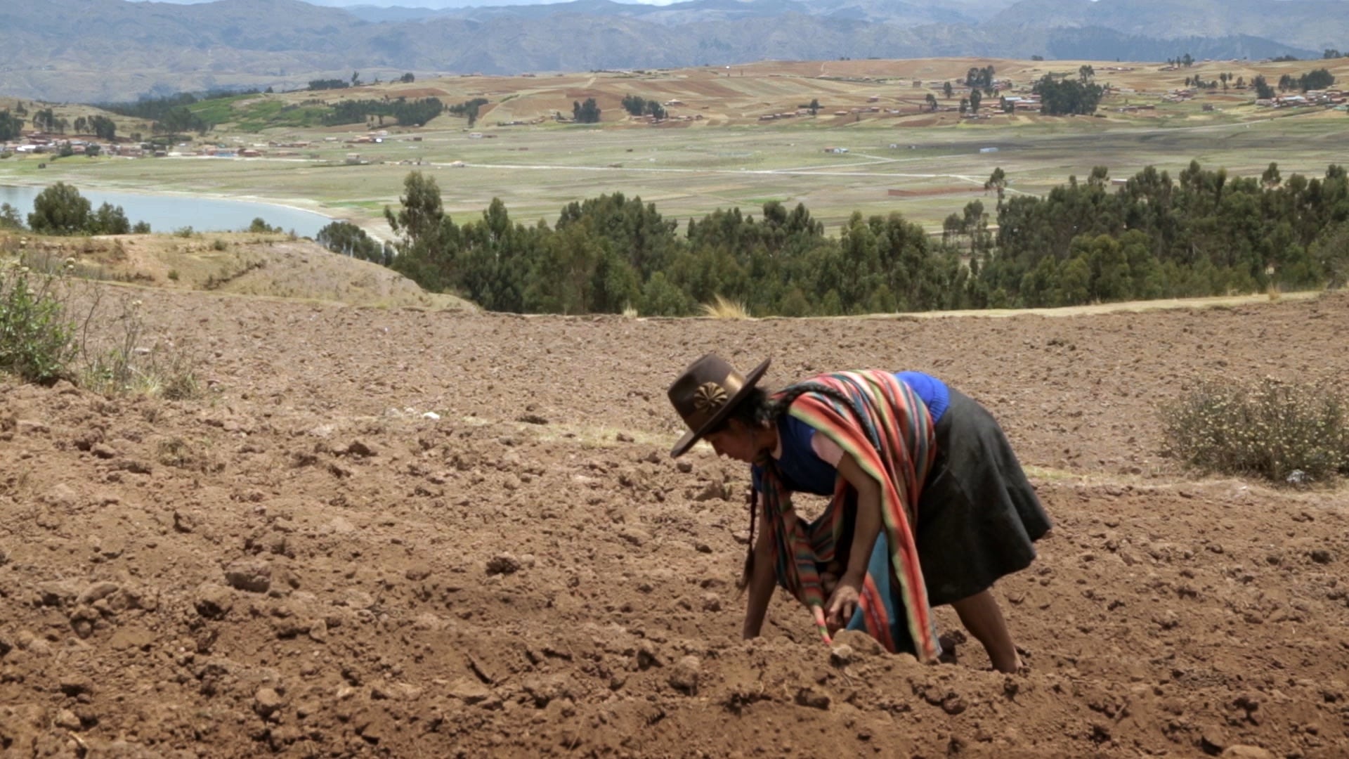 Entre los documentales se destaca "Sembradoras de vida", de los peruanos Álvaro y Diego Sarmiento.