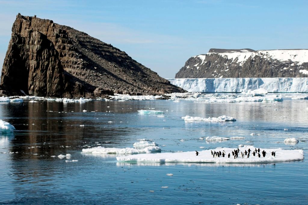 La Antártida es blanco y negro, y ahora también verde.