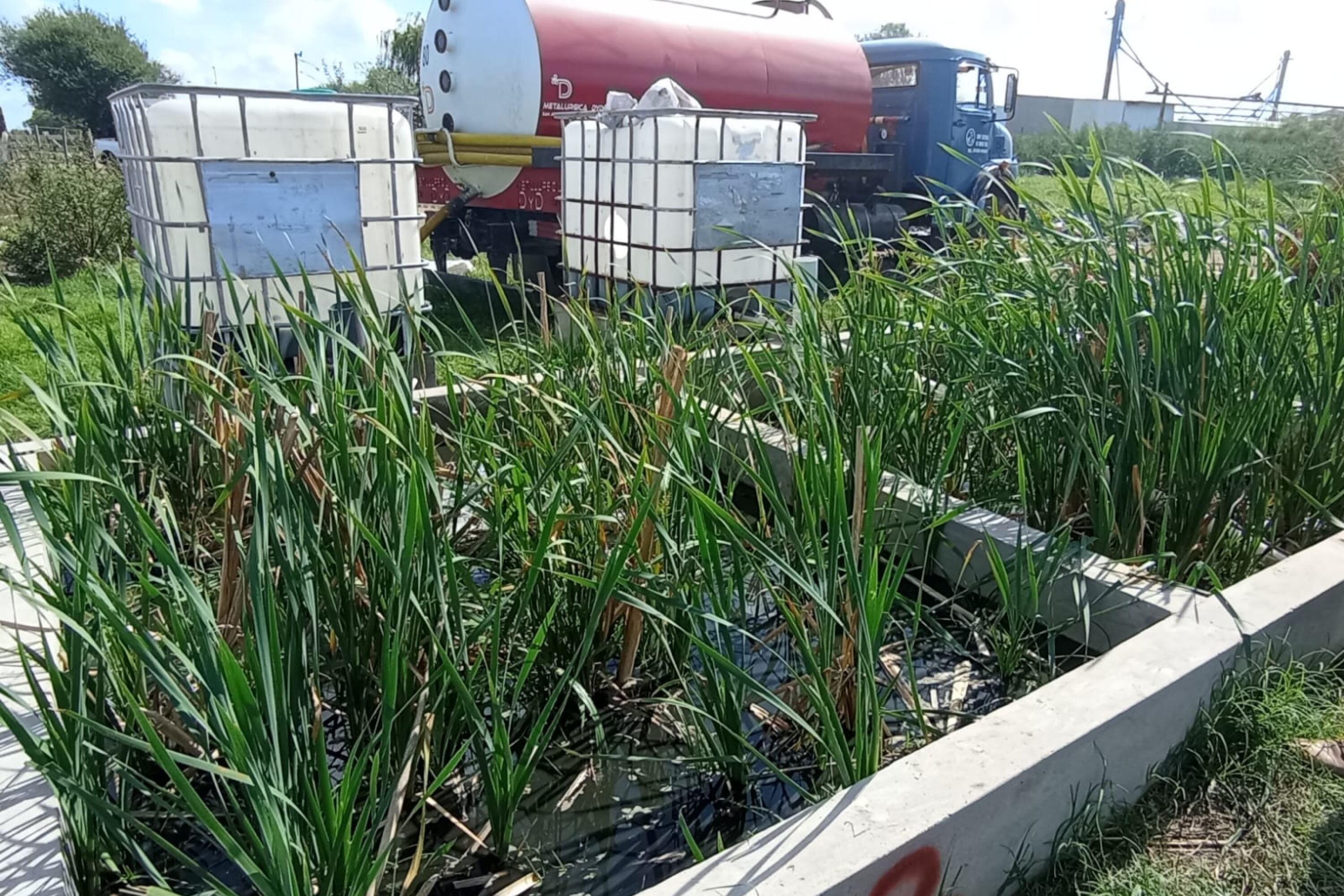 Los humedales artificiales se implementaron hace décadas en Estados Unidos y Europa.