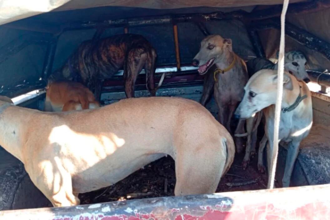 Hubo operativos en al menos 10 localidades de la provincia.