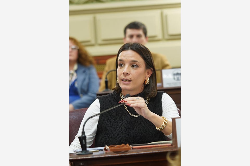 La diputada del PJ, Lucila De Ponti.