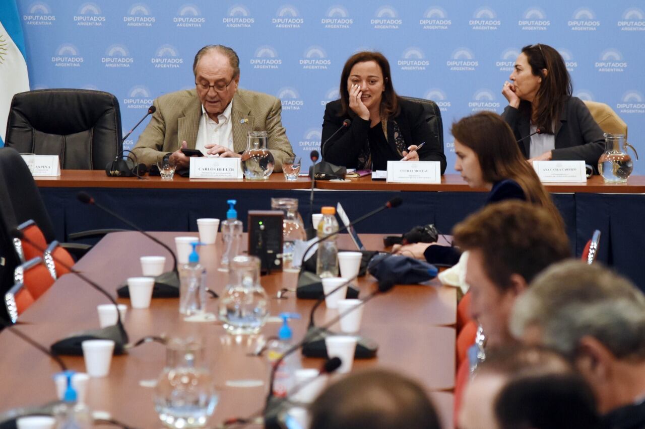 El proyecto se debatió en Presupuesto y Legislación General. “La iniciativa pone en el centro de la escena la cuestión histórica de la fuga de dólares", dijo Heller. 