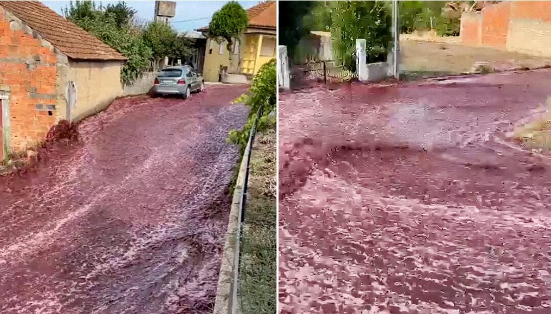 Dos enormes tanques de vino tinto explotaron en una destilería