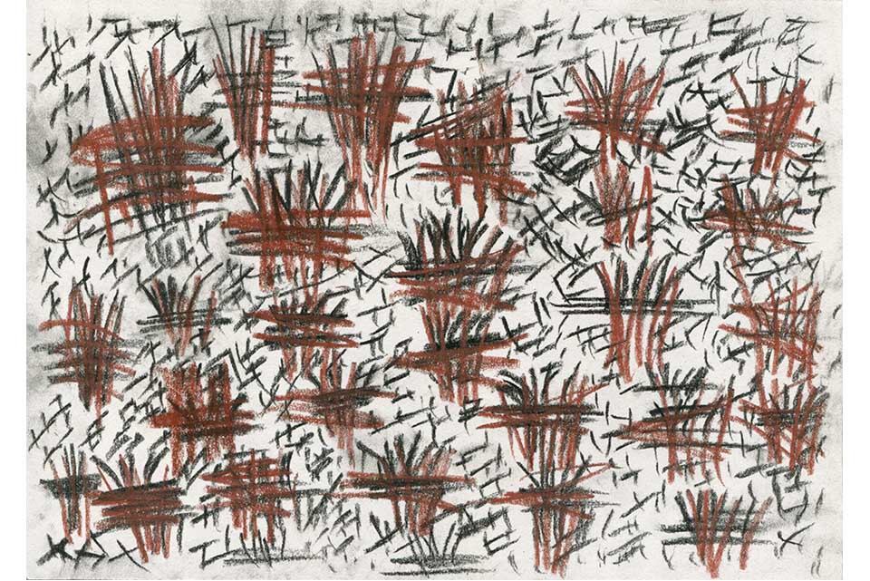 Gilda Di Crosta, carbonilla y papel, 2018.