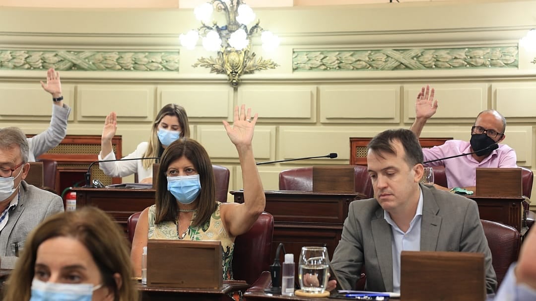 El voto favorable de legisladores socialistas.