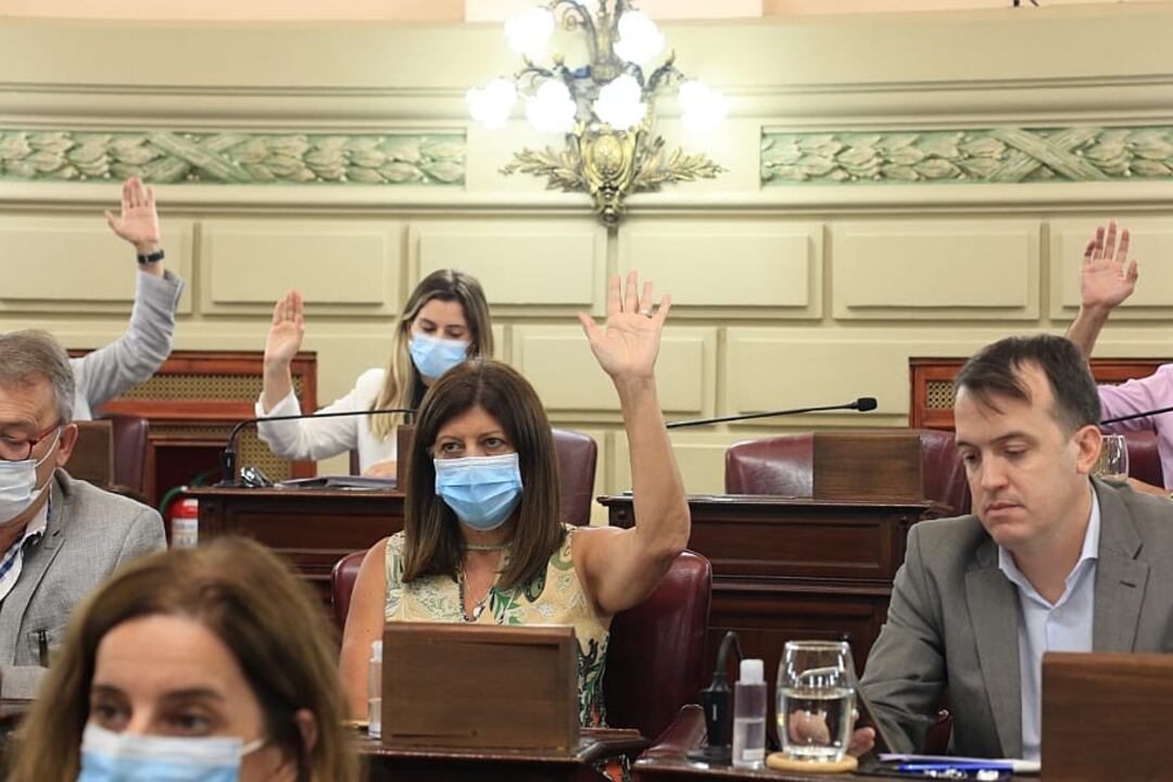 El voto favorable de legisladores socialistas.