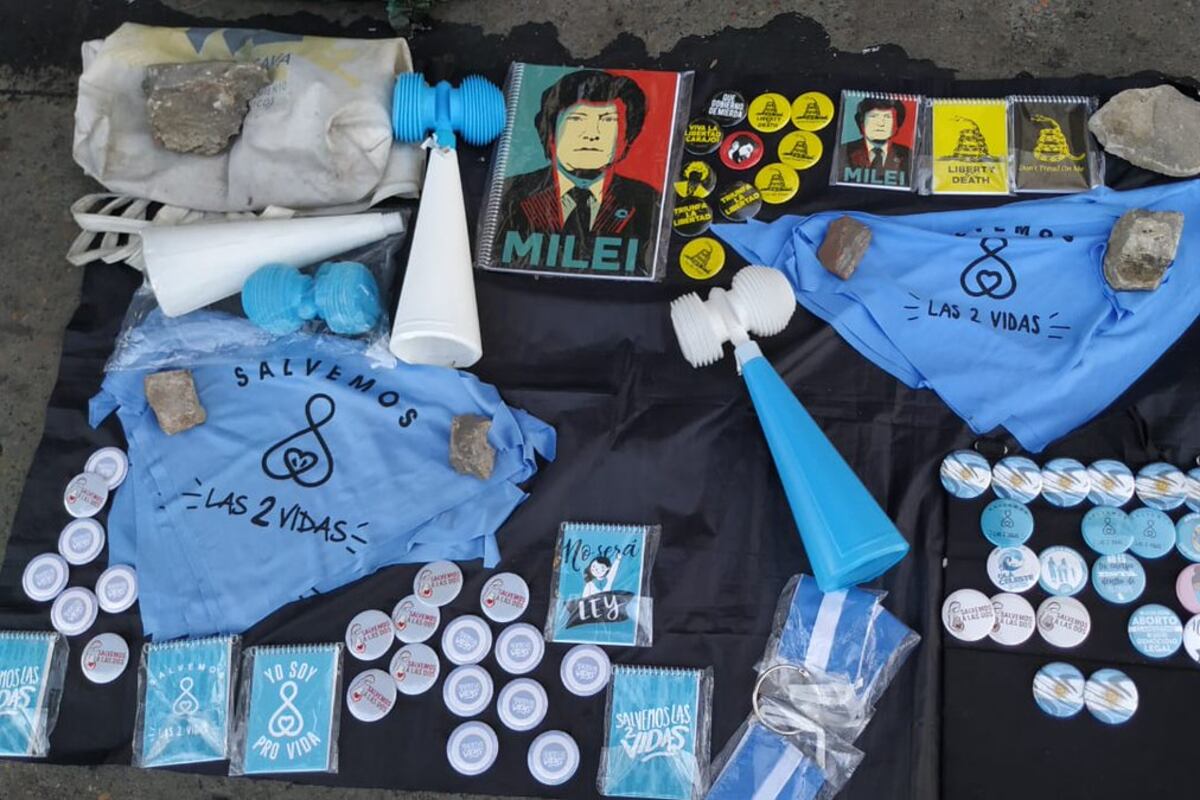 La "sorpresa" Javier Milei, referente de la militancia antiaborto.