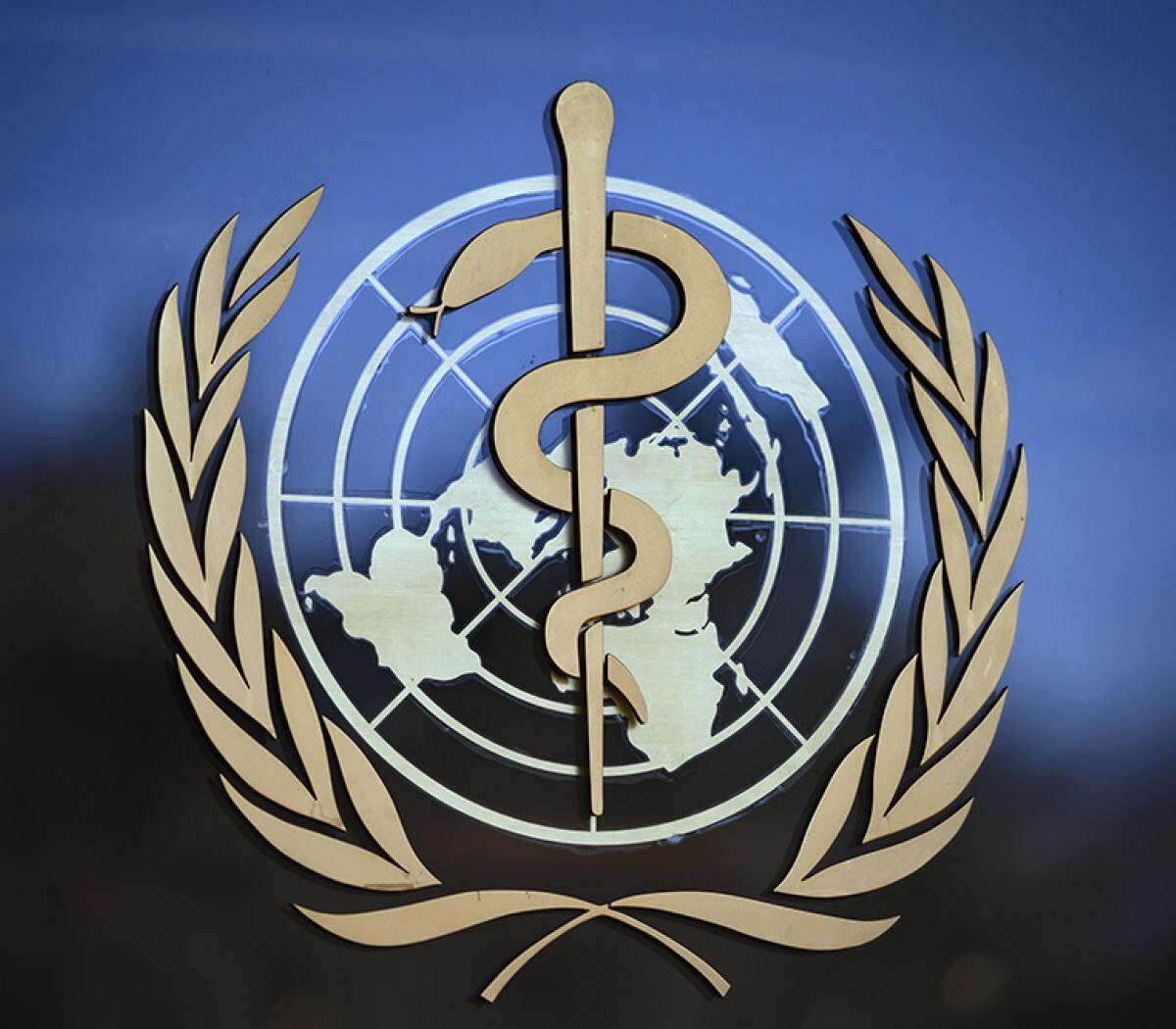 Argentina registró menos muertes durante la pandemia del coronavirus que la mayoría de los países con mejores ingresos, según la OMS.