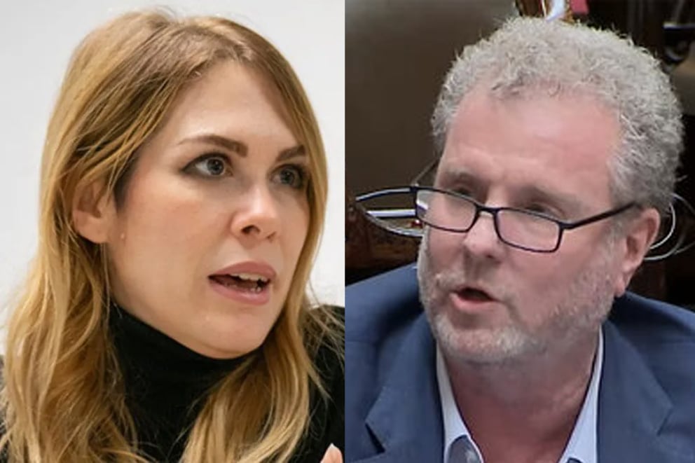 Lilia Lemoine (LLA) y Gerardo Milman (PRO) fueron dos de los diputados que presentaron el proyecto de ley.