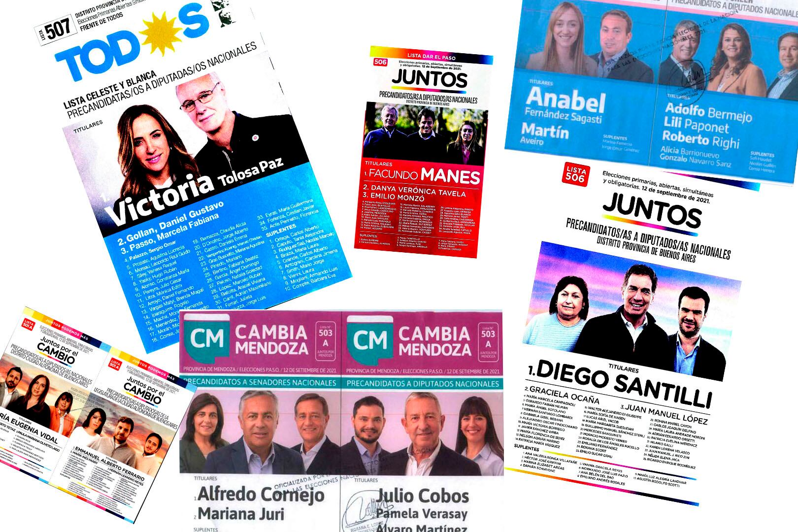 En las PASO se definen los candidatos que irán en busca de bancas en el Congreso.