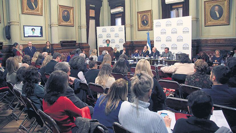 El plenario de comisiones sobre aborto tiene previsto emitir dictamen el próximo miércoles.