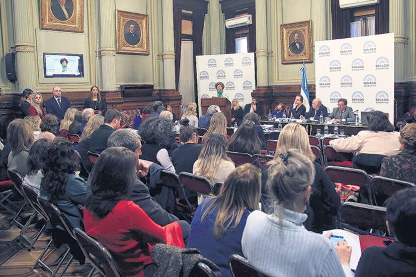 El plenario de comisiones sobre aborto tiene previsto emitir dictamen el próximo miércoles.