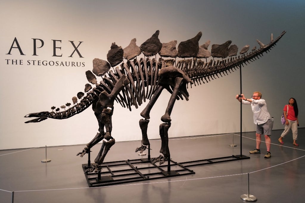 Los 44,6 millones pagados superan ampliamente al de "Stan", un esqueleto de T Rex, que alcanzó en octubre de 2020 los 31,8 millones de dólares