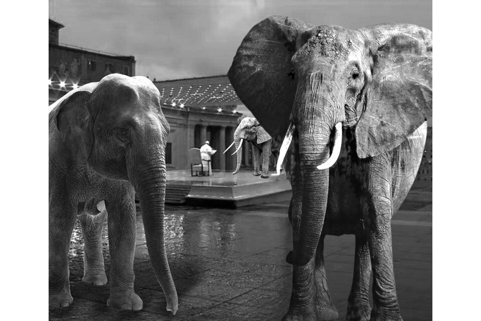 Mariana Telleria: Urbi et orbi virtual, 2020. Episodio: Domingo de Pascua.  