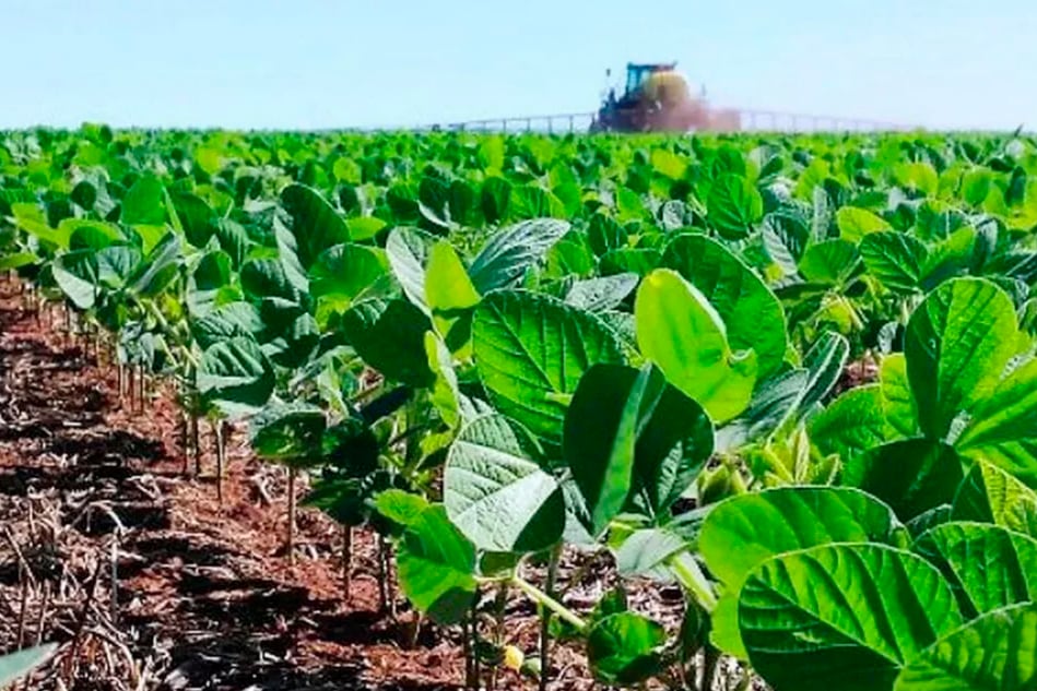 Las retenciones a la soja crecen del 26 al 33 por ciento.