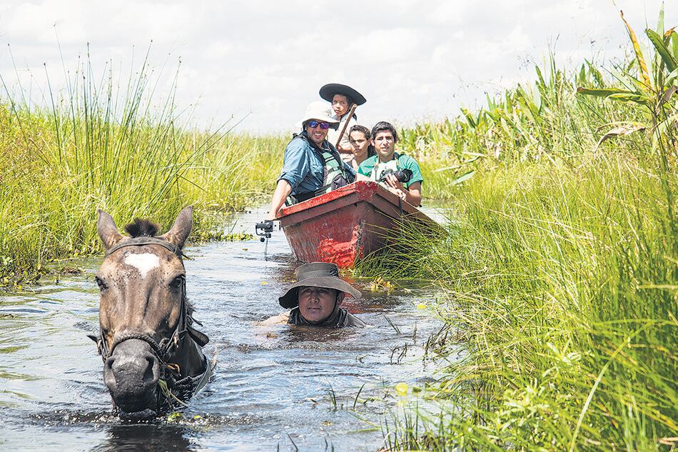 Chopé, isleño y guía baqueano, conduce una de las canoas cinchada a caballo.
