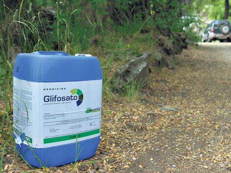 Es la primera vez que un fiscal federal pide suspender el uso de glifosato en todo el país.