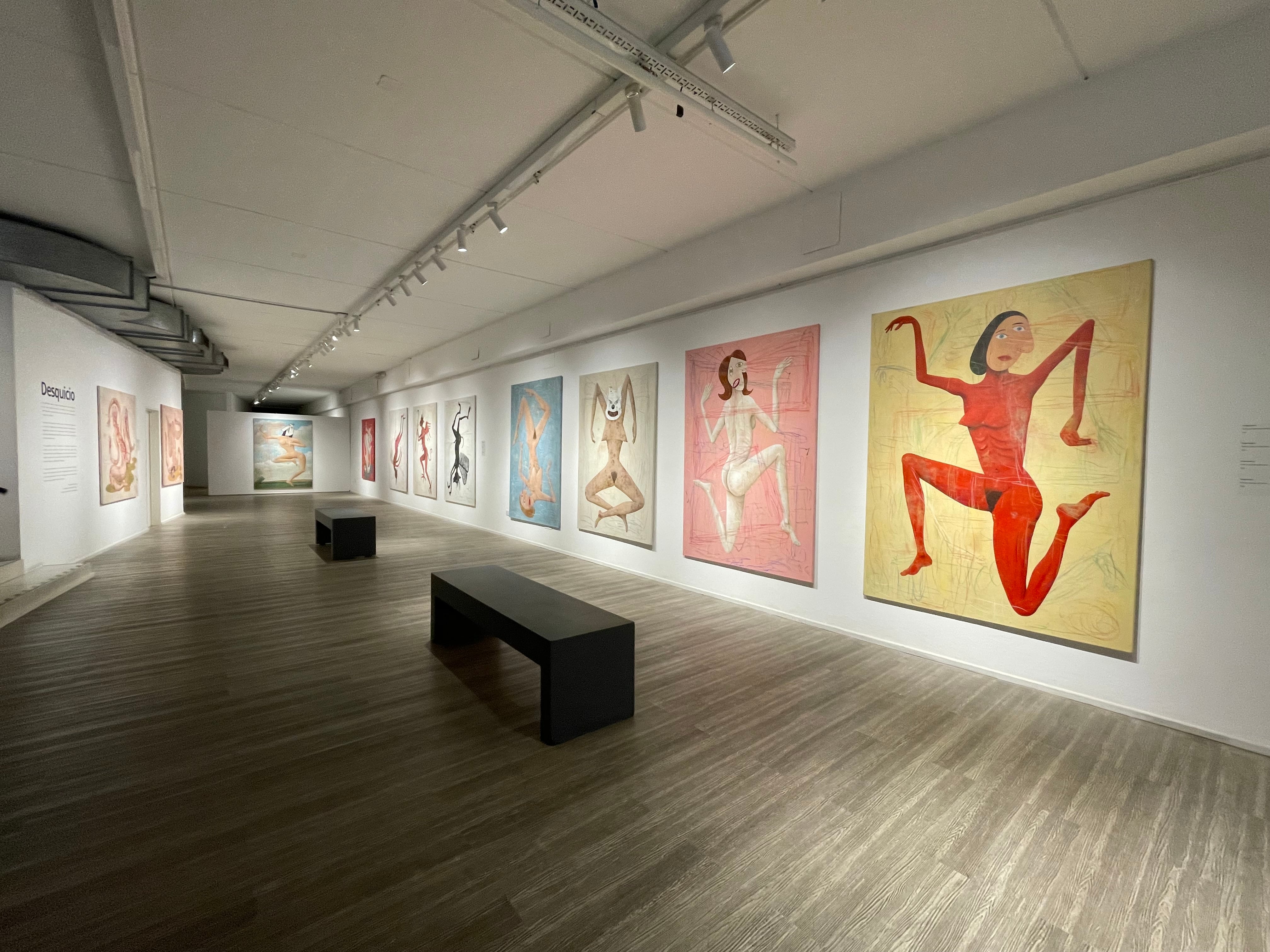 Vista de la exposicion de Daniel Garcia en El Rojas.