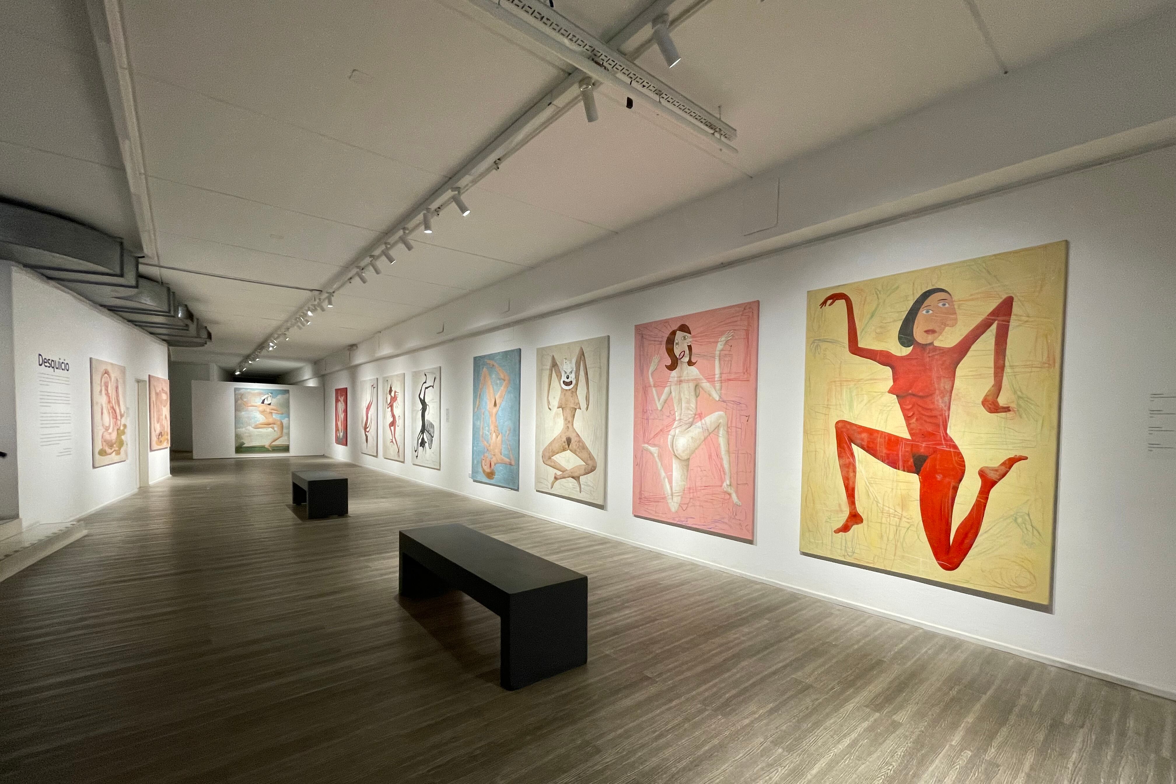 Vista de la exposicion de Daniel Garcia en El Rojas.