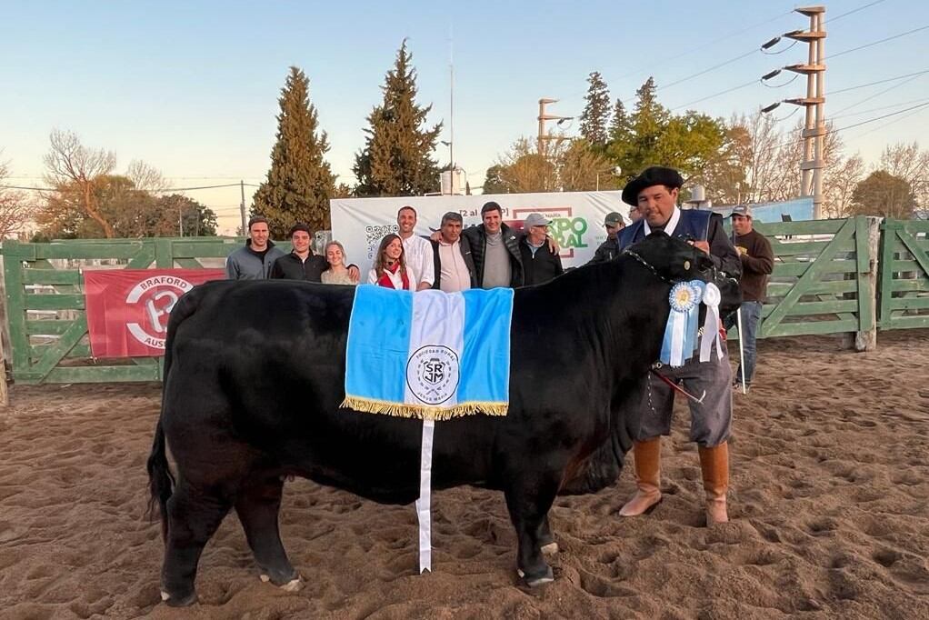 Dos ejemplares de la raza Brangus ganaron cuatro premios en la Expo Rural. 