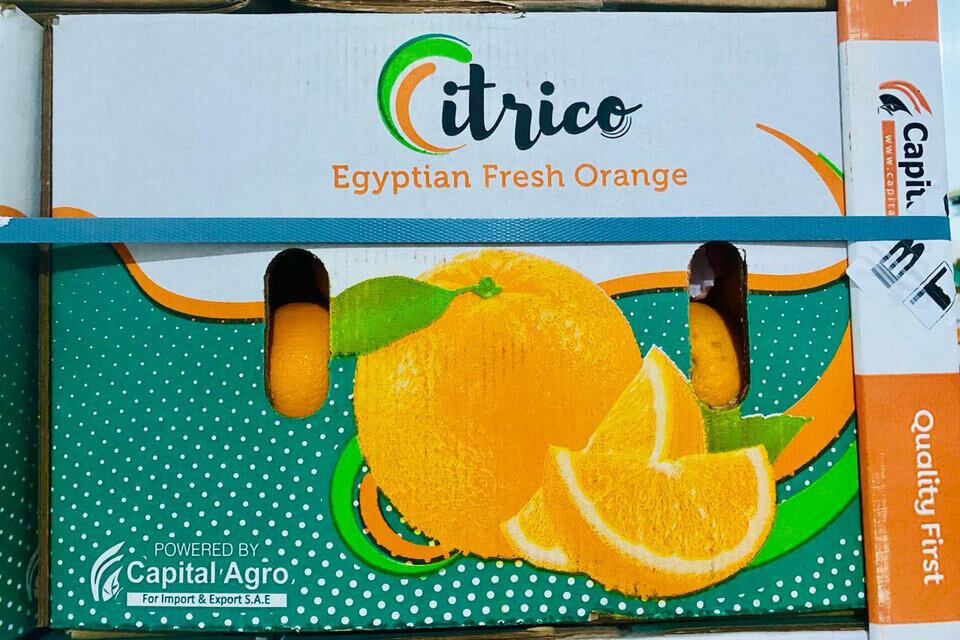 Una de las cajas de naranja egipcia ofrecida en el Mercado Central.