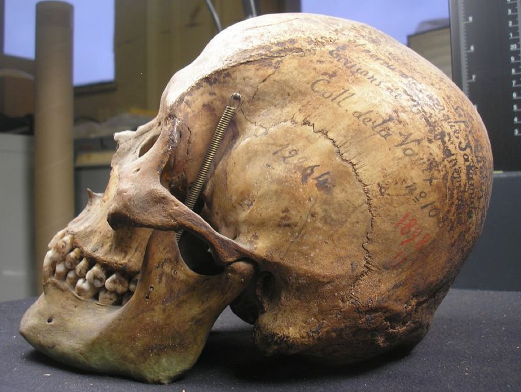 El esqueleto del cacique fue exhibido en un museo parisino hasta 2009. 