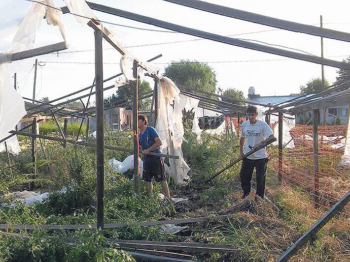 “La ayuda que ofreció el Gobierno no cubre ni el uno por ciento del costo de reparación de los destrozos”.