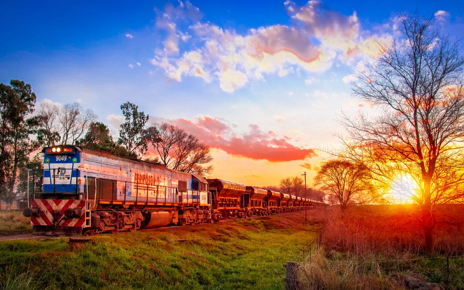 Los trabajadores ferroviarios en alerta por el Ferrosur Roca.