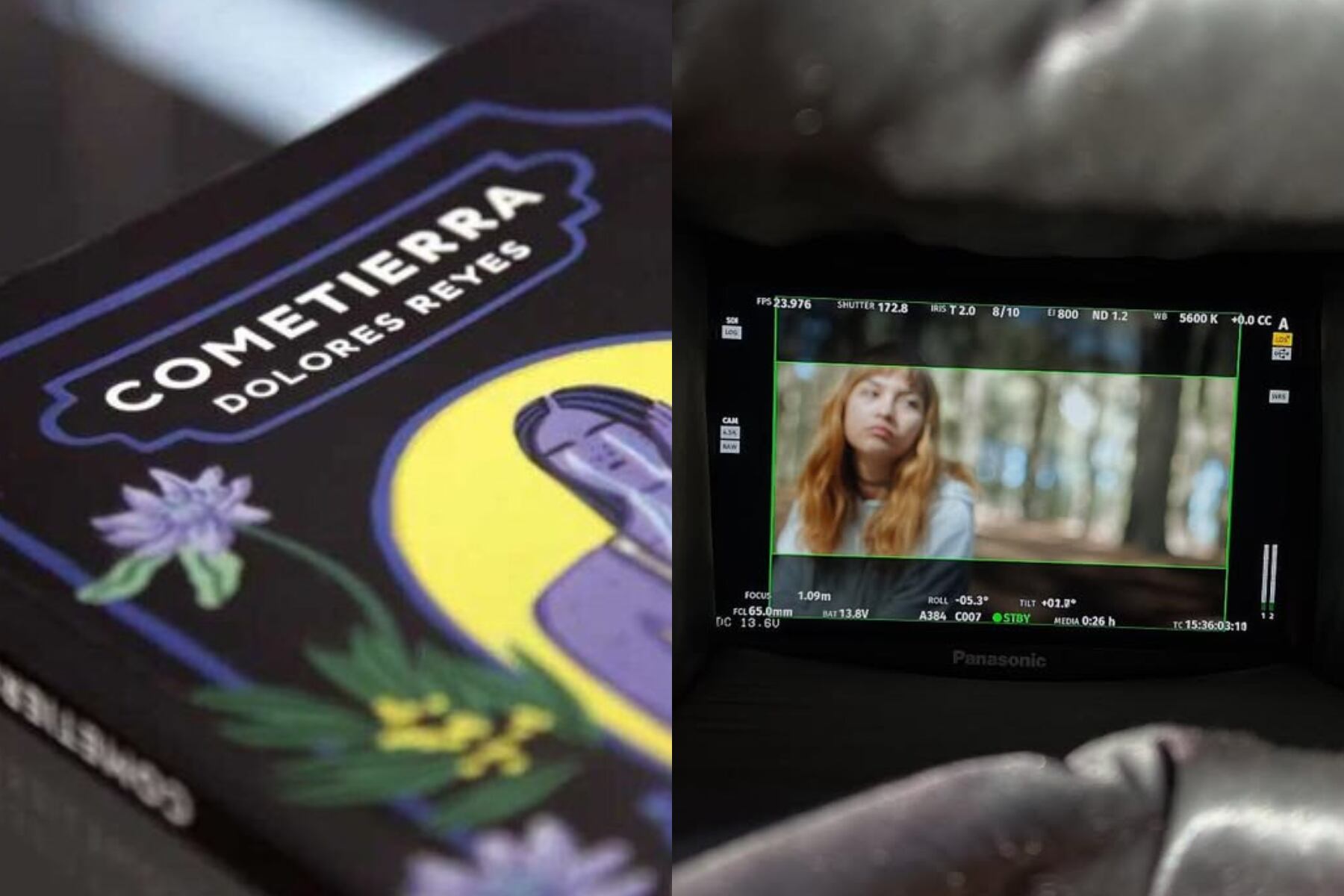 Tras la polémica, "Cometierra" de Dolores Reyes llega a las pantallas en formato de serie.