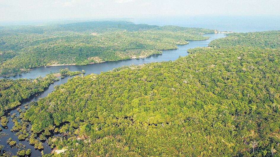 Vista aérea de un área selvática en Amazonia, cerca de Manaos, similar a la que Temer habilitó a las mineras.