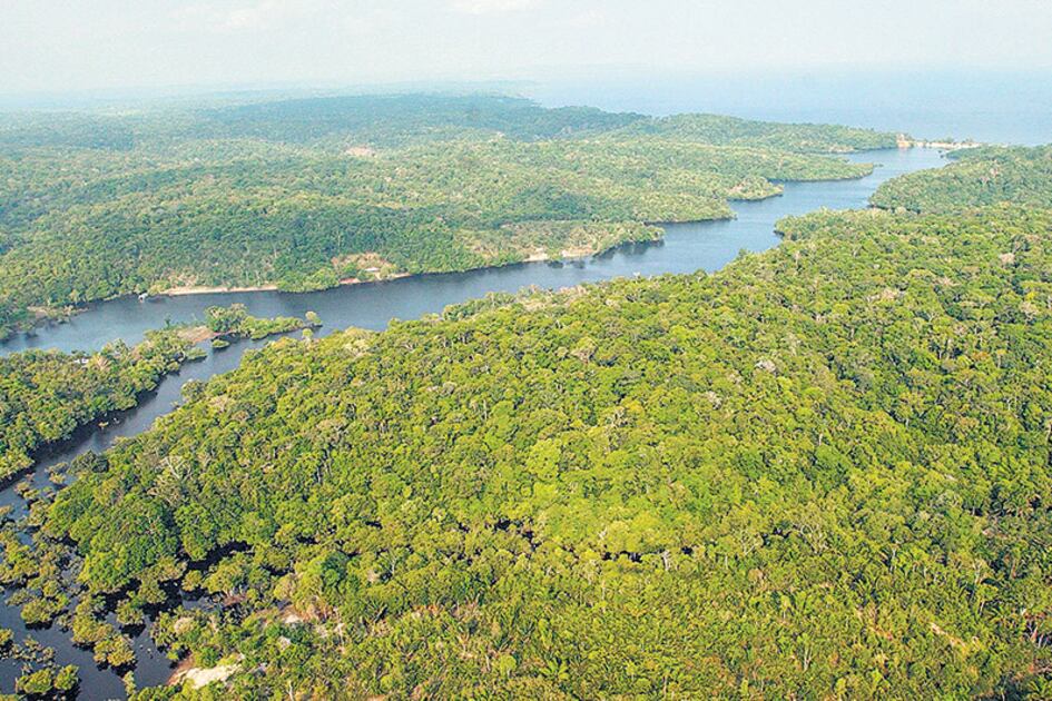 Vista aérea de un área selvática en Amazonia, cerca de Manaos, similar a la que Temer habilitó a las mineras.
