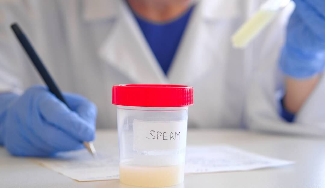 Los donantes van a tener que dar su consentimiento a que en un futuro su identidad sea divulgada a los hijos mayores de edad que así lo soliciten.