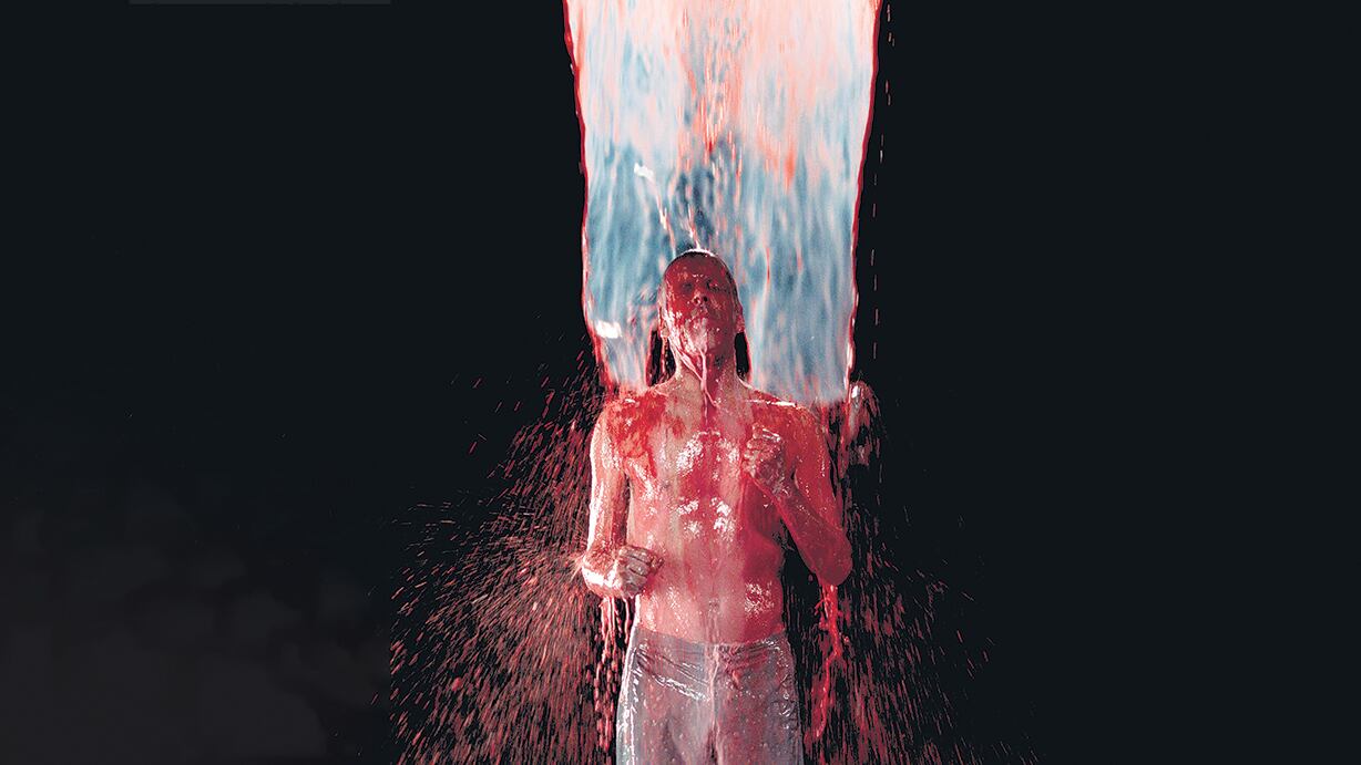 Inverted birth. bill viola