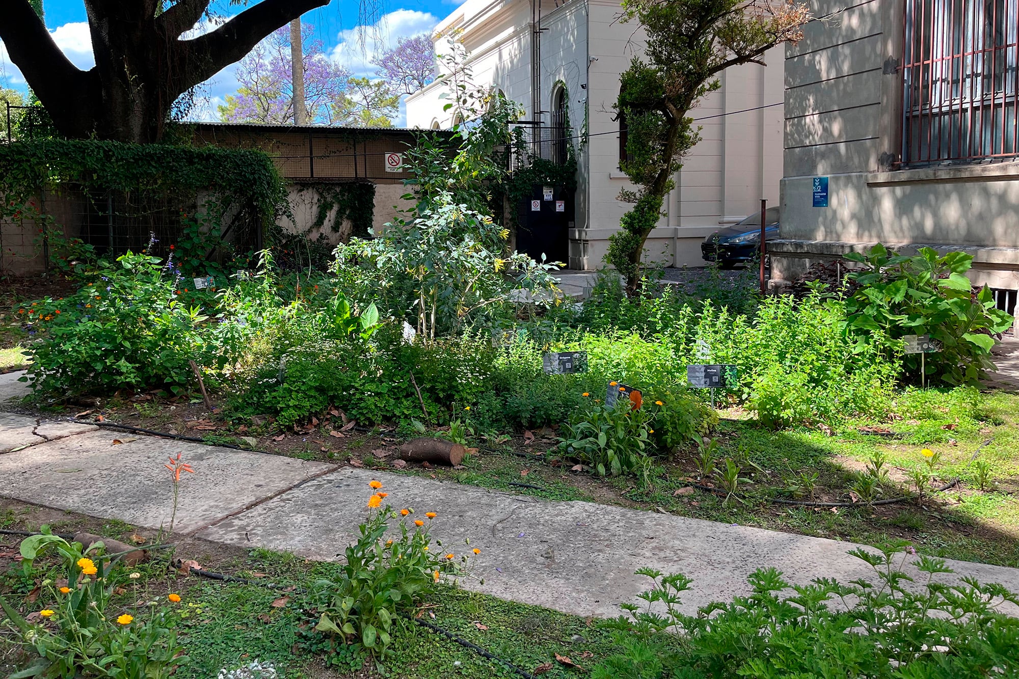 El espacio vital está ubicado detrás del edificio de Suipacha 570. 