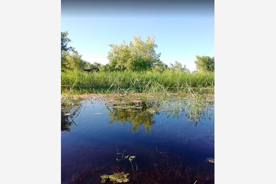 El proyecto de loteo en la isla recibió resistencias.