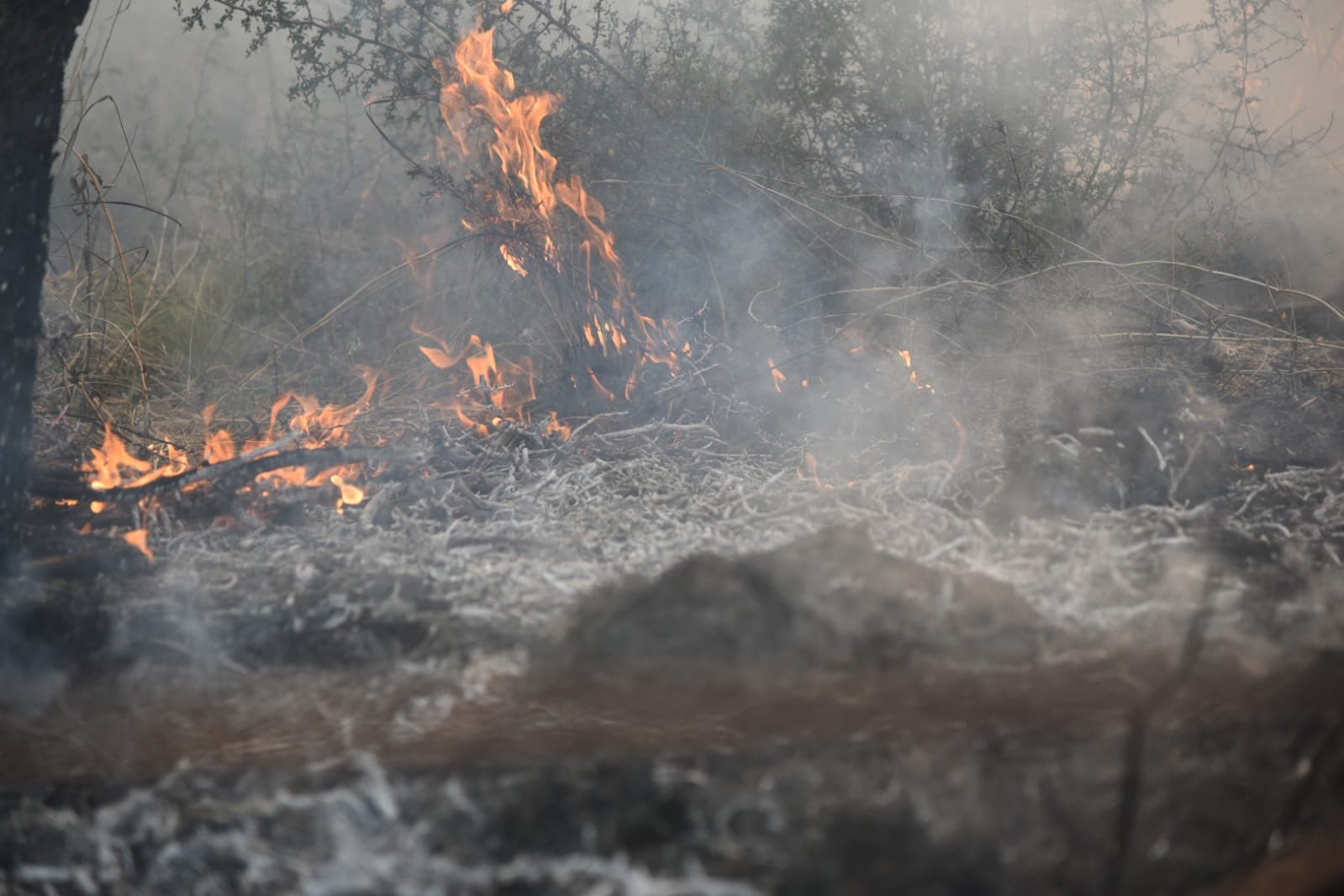 Incendios en Córdoba: todavía hay dos focos activos. (Foto: Gobierno de Córdoba)