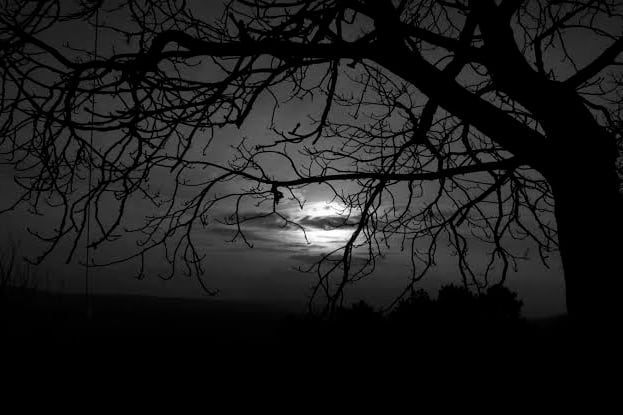 Noche Oscura
