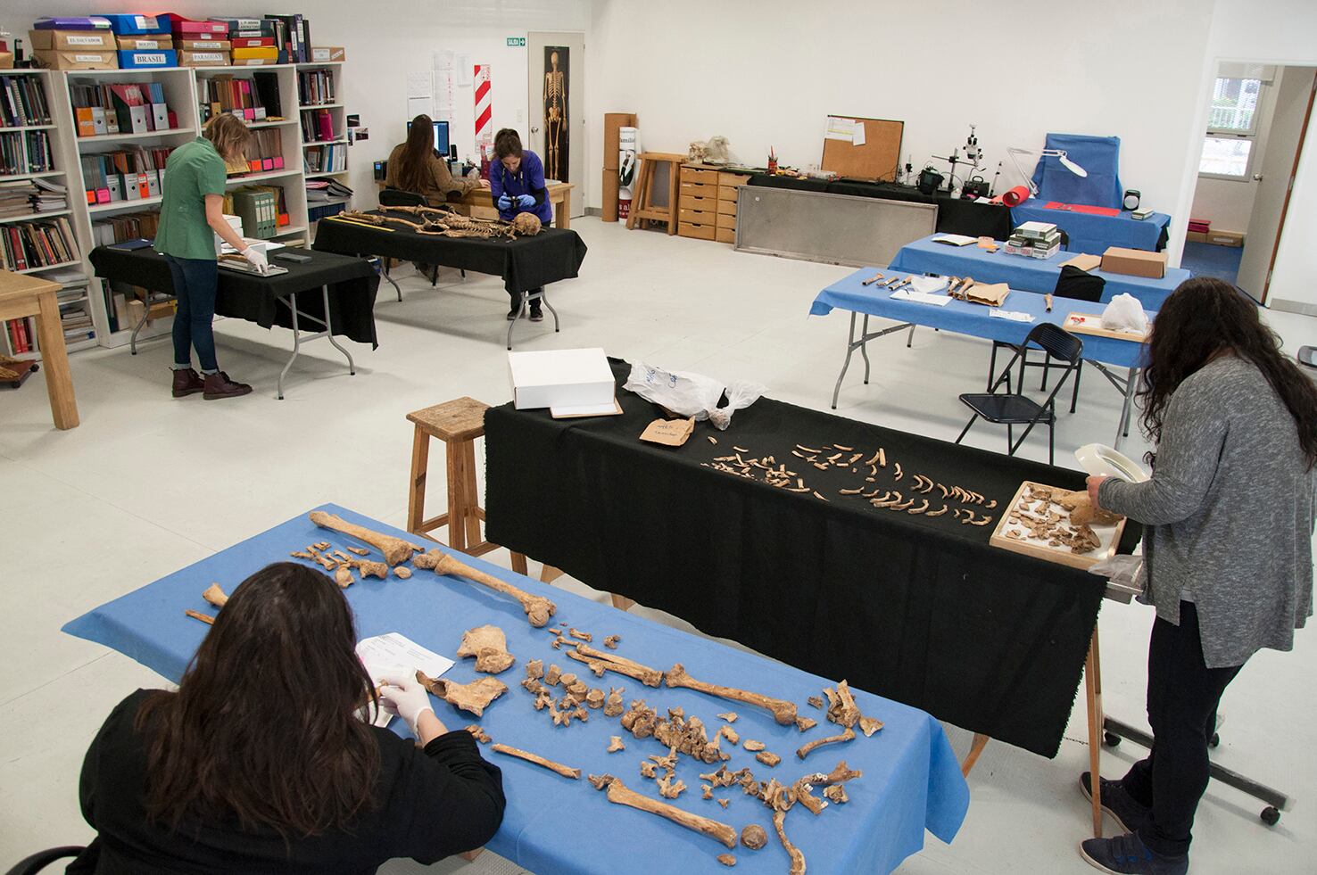 En el Equipo Argentino de Antropología Forense trabajan antropólogos, arqueólogos, médicos, biólogos y genetistas.