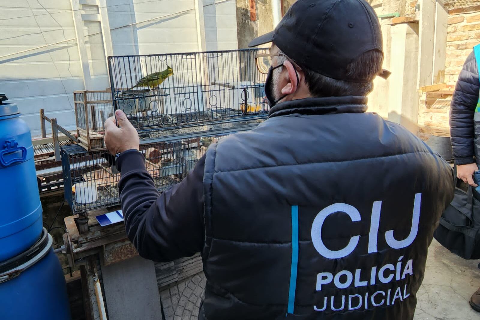 En el lugar se hallaron palomas, jilgueros amarillos, reina mora, cabecita negra, corbatita negra común y cardenales amarillos. Foto: MPF