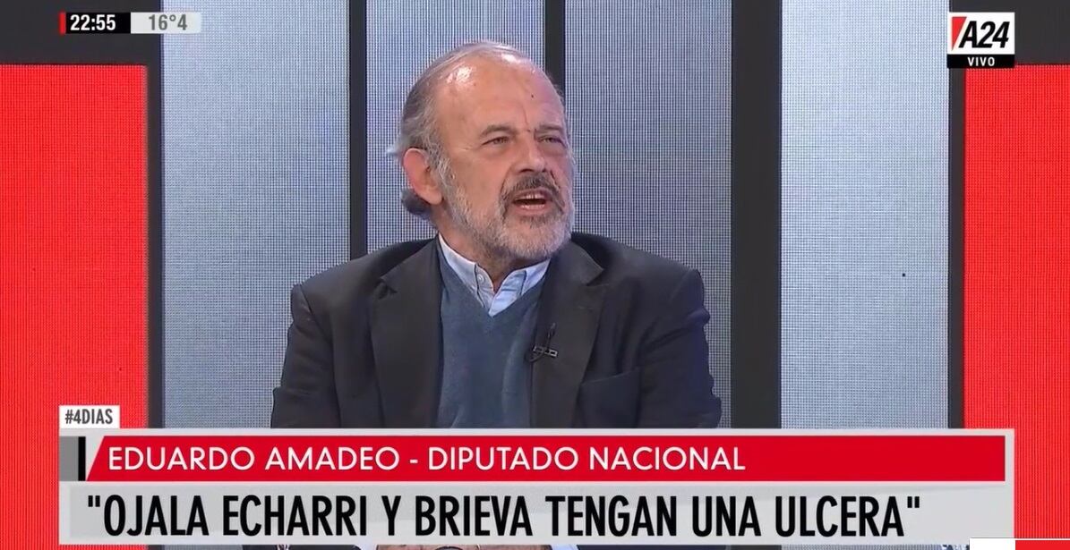 "Perdimos pero ganamos", dijo también Amadeo, en sintonía con otros oficialistas.