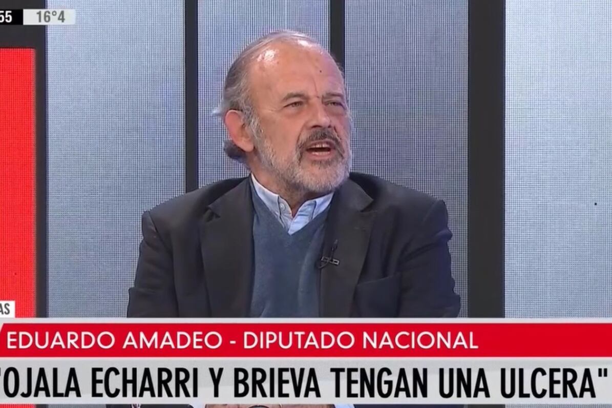 "Perdimos pero ganamos", dijo también Amadeo, en sintonía con otros oficialistas.