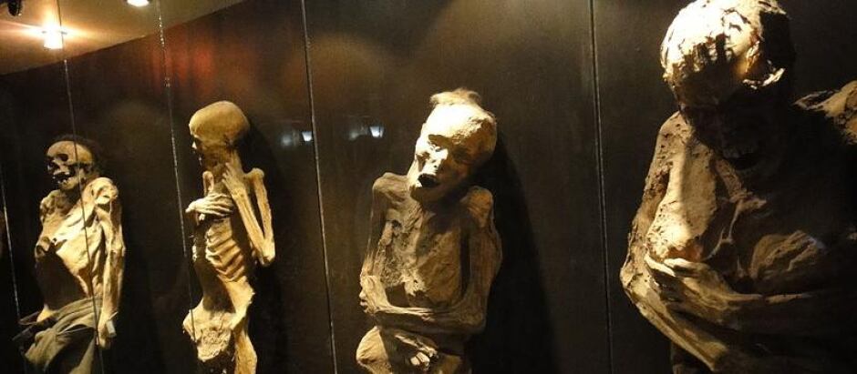 Seis cuerpos momificados forman parte de la muestra itinerante que ahora se encuentra en la capital de México, y que segun los especialistas, podría ser peligroso para los humanos. (Foto: MUMO)