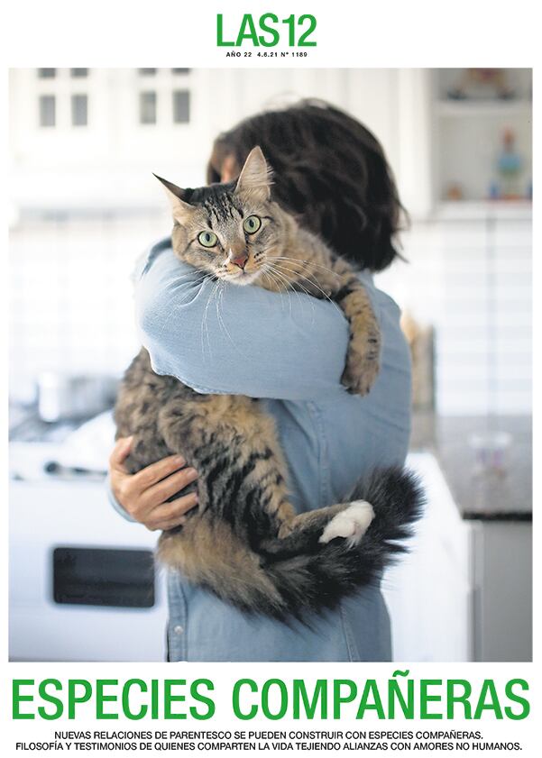 Especies compañeras - 03/06/2021