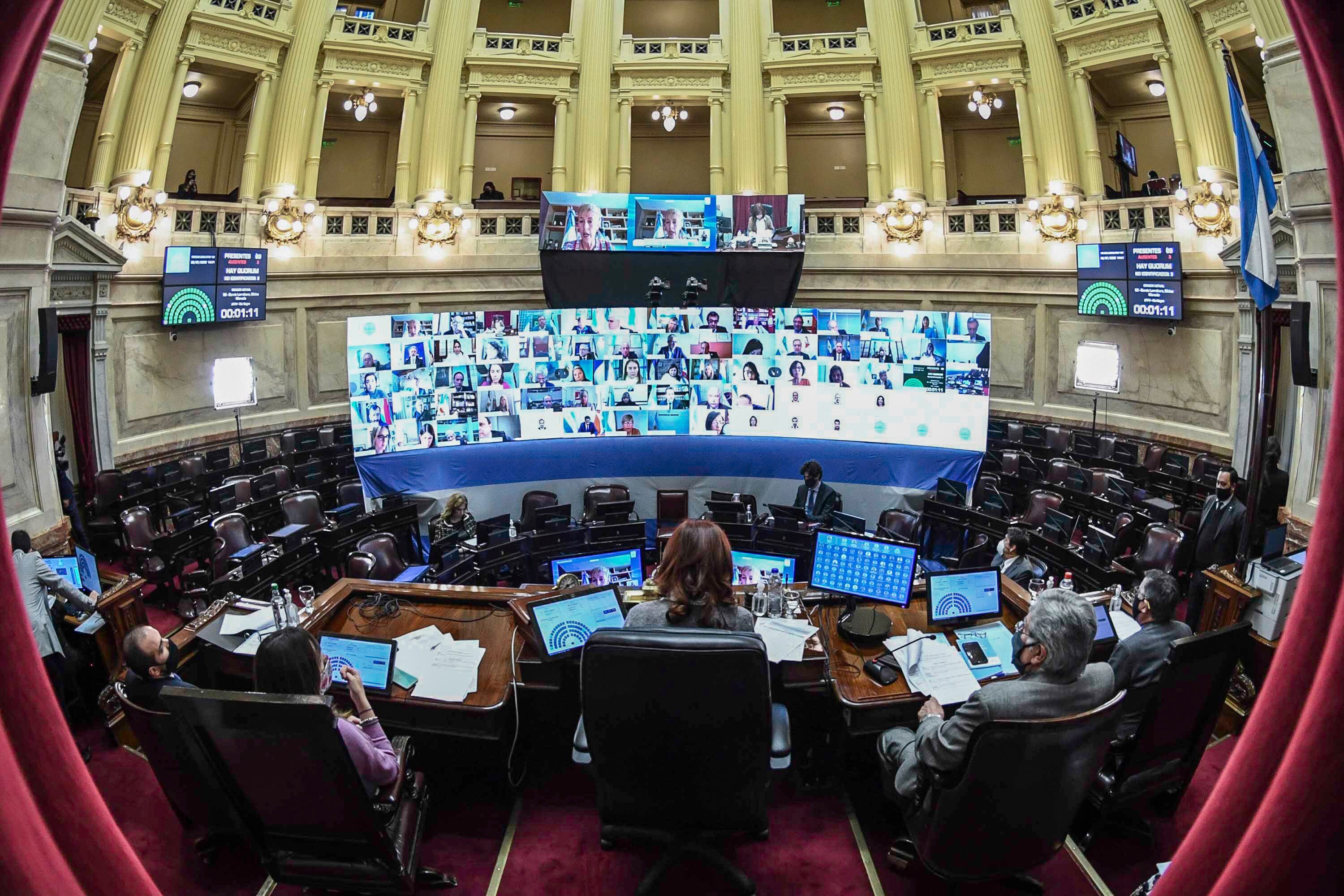 La ley de Teletrabajo se sancionó en el Senado con 40 votos a favor y 30 en contra.