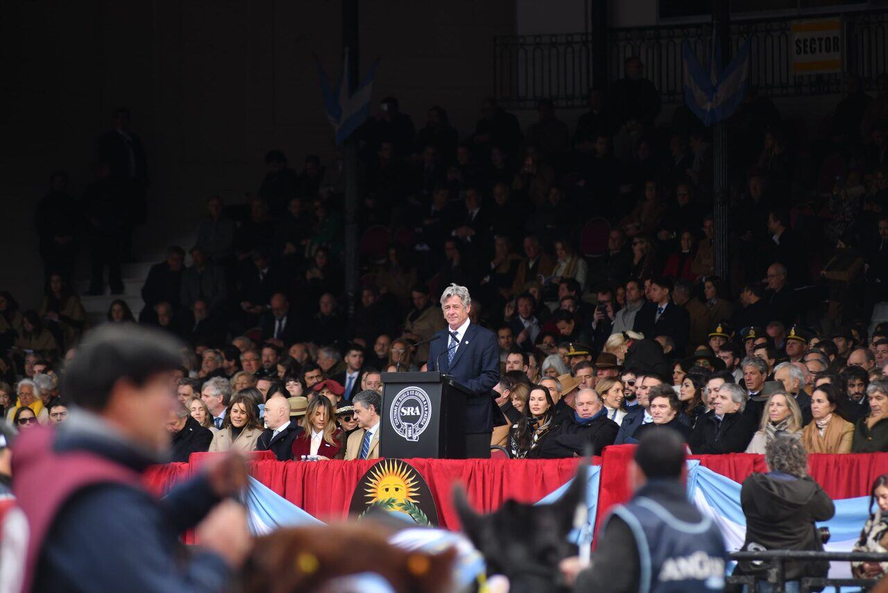 Pino durante su discurso.